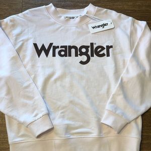 Wrangler logo oversized sweatshirt in blush pink
